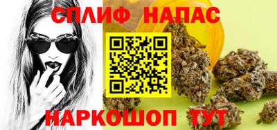 сатива Краснодар