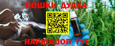 сатива Краснодар